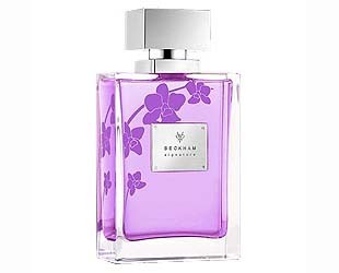 David beckham signature for women deals