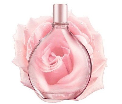Pure DKNY A Drop of Rose