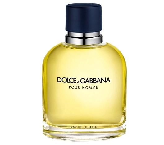 dolce & gabbana cologne men