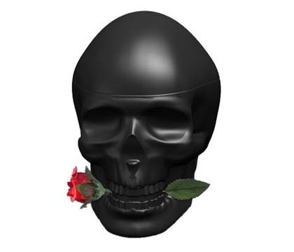 Ed Hardy Skulls And Roses Men By Christian Audigier