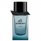 Mr Burberry Element By Burberry 150ml Edts Mens Fragrance