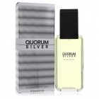 Quorum Silver By Antonio Puig 100ml Edts Mens Fragrance
