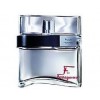 F Ferragamo Pour Homme By Salvatore Ferragamo