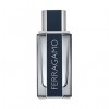Ferragamo By Salvatore Ferragamo