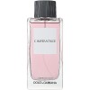 L'Imperatrice Limited Edition by Dolce & Gabbana